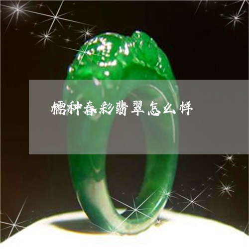 糯种春彩翡翠怎么样/2023041354137 糯种春彩翡翠怎么样/2023041354137