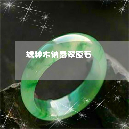 糯种木纳翡翠原石/2023031503158