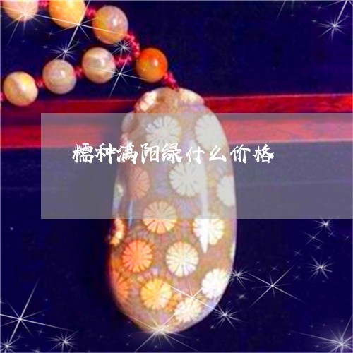 糯种满阳绿什么价格/2023041338393 糯种满阳绿什么价格/2023041338393