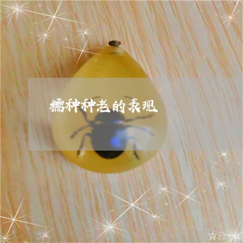 糯种种老的表现/2023032874824 糯种种老的表现/2023032874824
