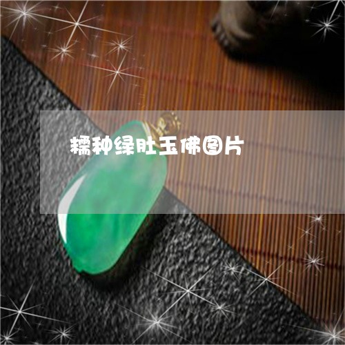 糯种绿肚玉佛图片/2023031516370 糯种绿肚玉佛图片/2023031516370