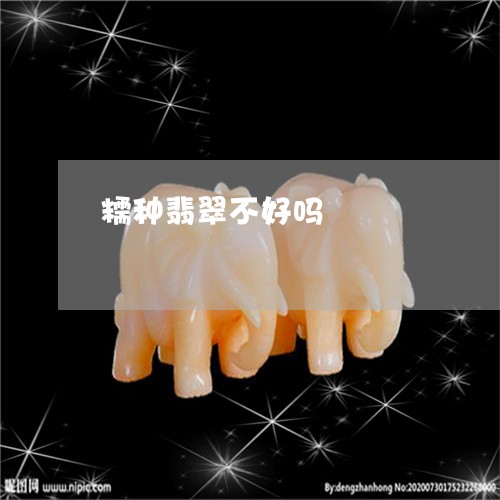 糯种翡翠不好吗/2023032894905 糯种翡翠不好吗/2023032894905
