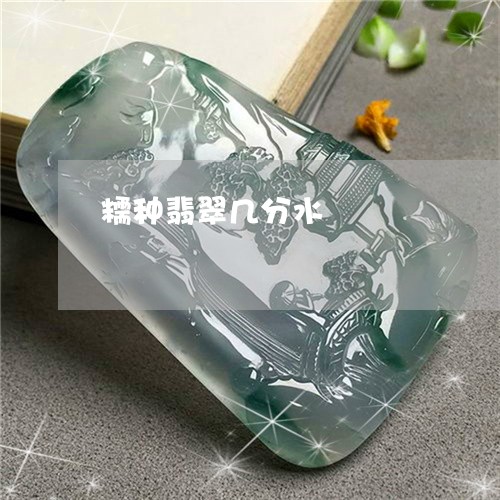 糯种翡翠几分水/2023032819572