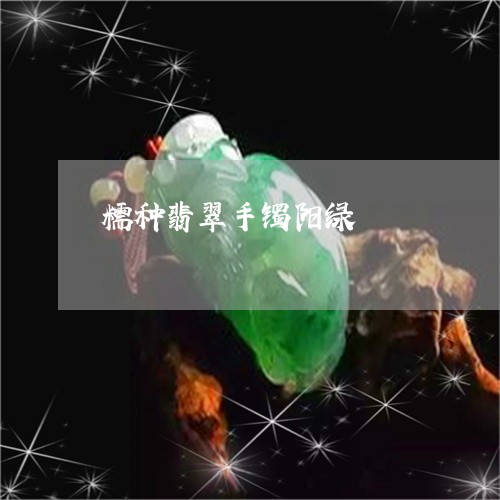 糯种翡翠手镯阳绿/2023031527271