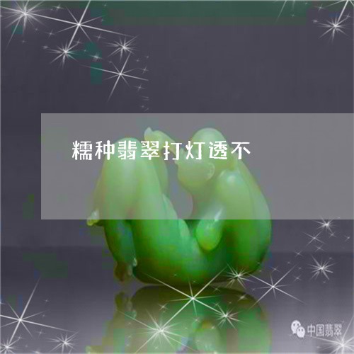 糯种翡翠打灯透不/2023031585392