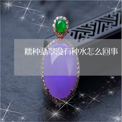 糯种翡翠没有种水怎么回事/2023061917603 糯种翡翠没有种水怎么回事/2023061917603