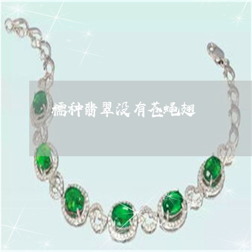 糯种翡翠没有苍蝇翅/2023041348379 糯种翡翠没有苍蝇翅/2023041348379