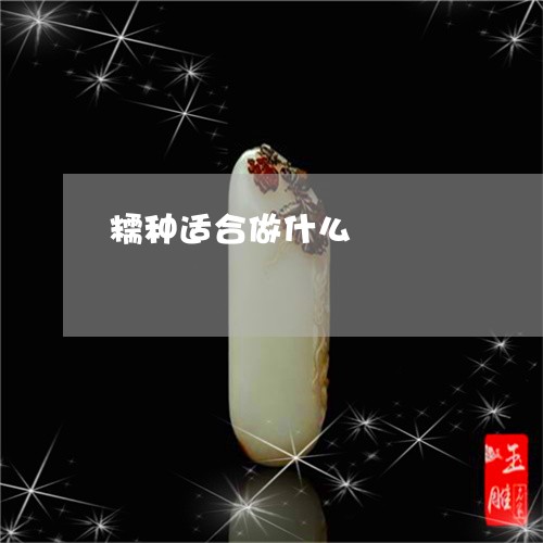 糯种适合做什么/2023032910291