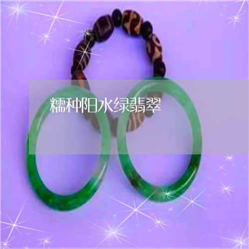 糯种阳水绿翡翠/2023032927258
