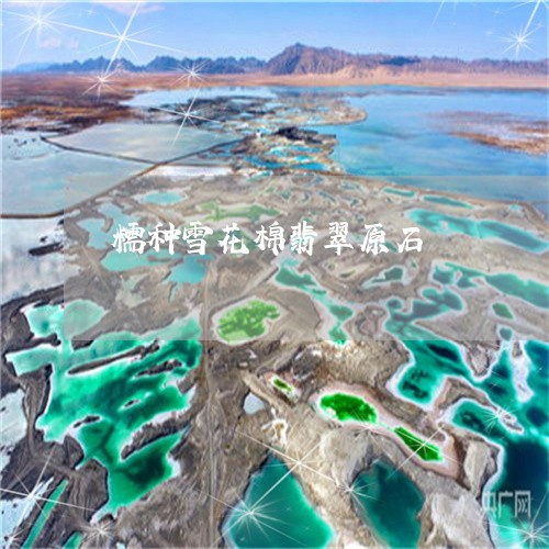 糯种雪花棉翡翠原石/2023041376058 糯种雪花棉翡翠原石/2023041376058