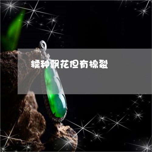 糯种飘花但有棉裂/2023031537259
