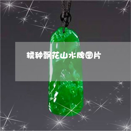 糯种飘花山水牌图片/2023041397249 糯种飘花山水牌图片/2023041397249