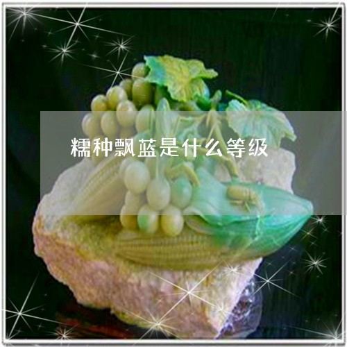 糯种飘蓝是什么等级/2023041399502