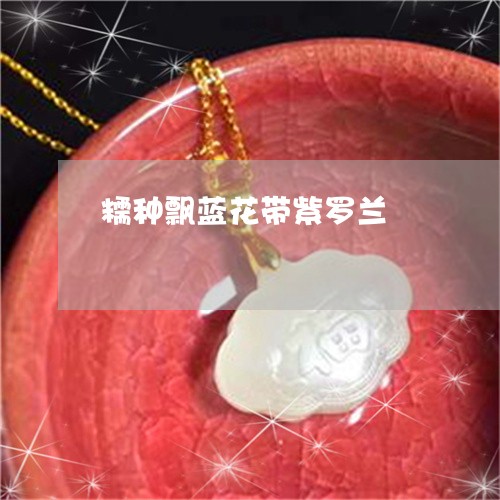 糯种飘蓝花带紫罗兰/2023041397471