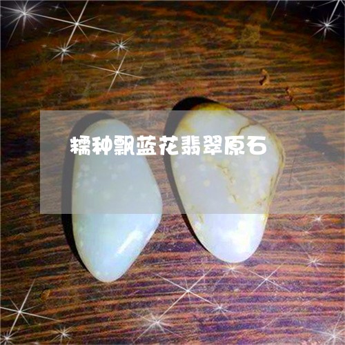 糯种飘蓝花翡翠原石/2023041306958