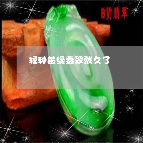 糯种黄绿翡翠戴久了/2023041385040 糯种黄绿翡翠戴久了/2023041385040