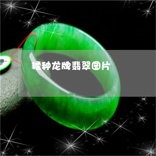 糯种龙牌翡翠图片/2023031519394 糯种龙牌翡翠图片/2023031519394