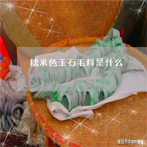 糯米色玉石毛料是什么/2023061782725