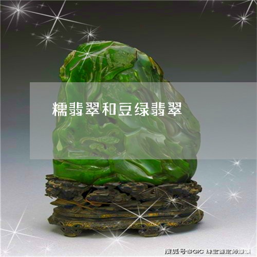 糯翡翠和豆绿翡翠/2023031590594 糯翡翠和豆绿翡翠/2023031590594