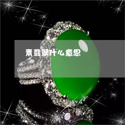素翡翠什么意思/2023032983948 素翡翠什么意思/2023032983948