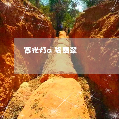 紫光灯a货翡翠/2023032907461