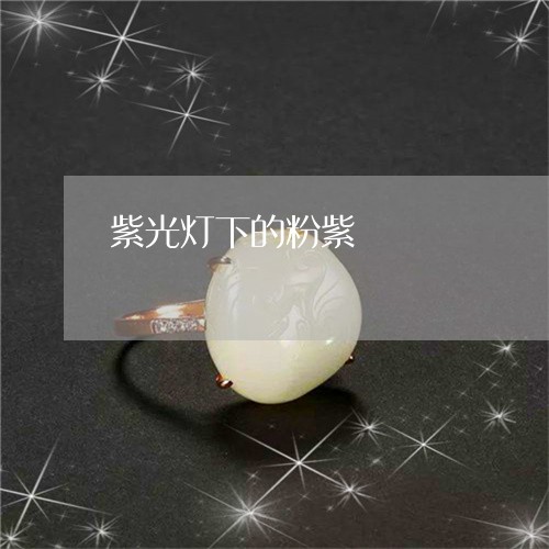 紫光灯下的粉紫/2023032997303
