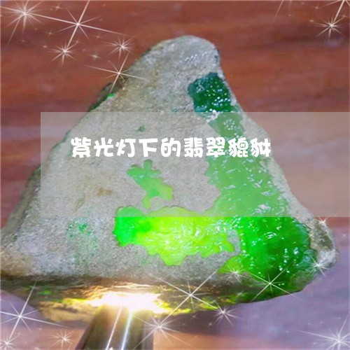 紫光灯下的翡翠貔貅/2023041391716