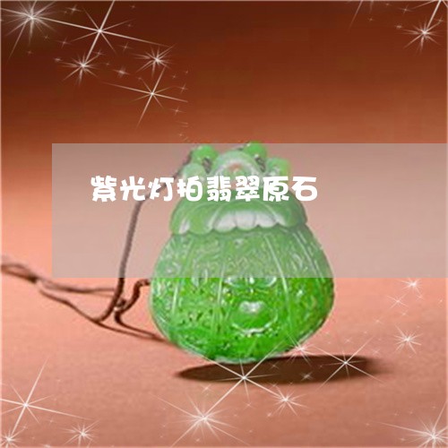 紫光灯拍翡翠原石/2023031537584