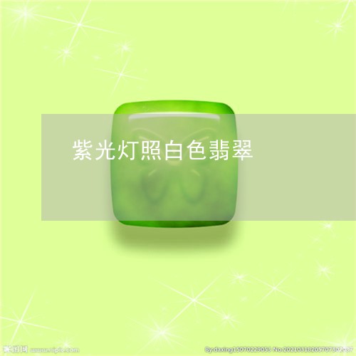 紫光灯照白色翡翠/2023031575070 紫光灯照白色翡翠/2023031575070