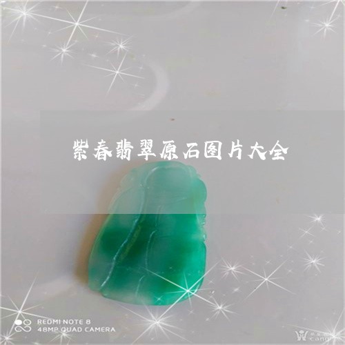 紫春翡翠原石图片大全/2023021462705 紫春翡翠原石图片大全/2023021462705