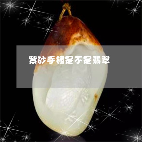 紫砂手镯是不是翡翠/2023041383148