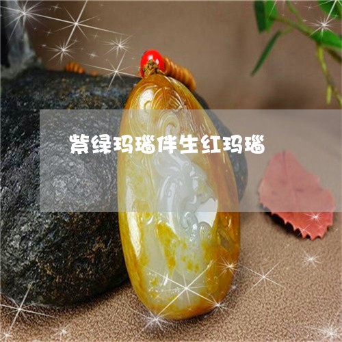 紫绿玛瑙伴生红玛瑙/2023041397393