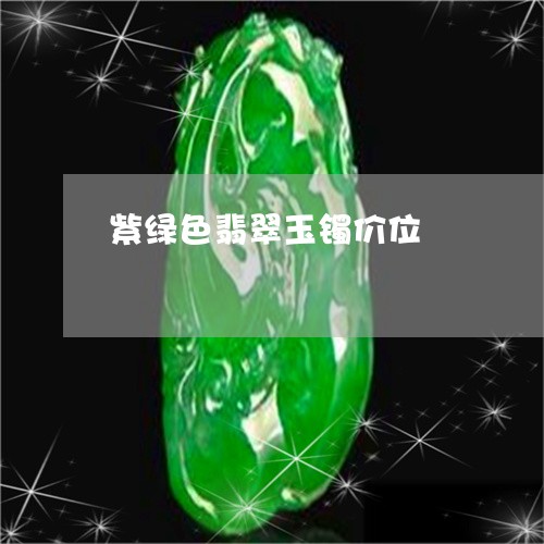 紫绿色翡翠玉镯价位/2023041373827 紫绿色翡翠玉镯价位/2023041373827