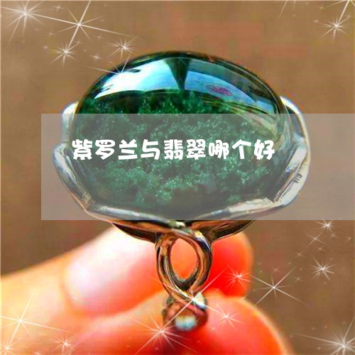 紫罗兰与翡翠哪个好/2023041350515