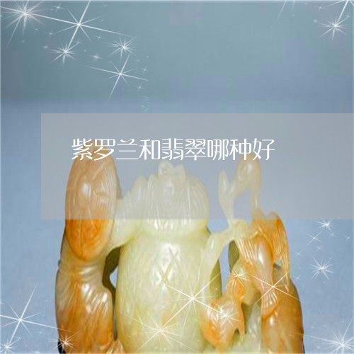紫罗兰和翡翠哪种好/2023041323816 紫罗兰和翡翠哪种好/2023041323816