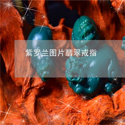 紫罗兰图片翡翠戒指/2023041366057 紫罗兰图片翡翠戒指/2023041366057