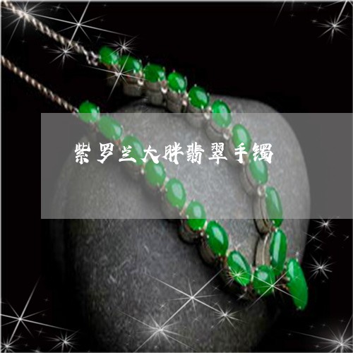 紫罗兰大胖翡翠手镯/2023041332815 紫罗兰大胖翡翠手镯/2023041332815
