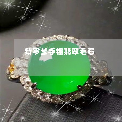 紫罗兰手镯翡翠毛石/2023041355049