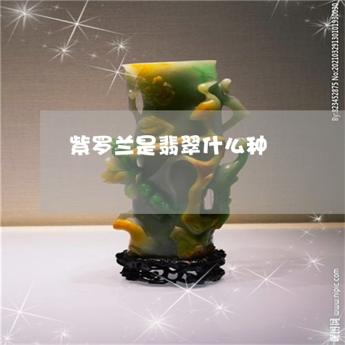 紫罗兰是翡翠什么种/2023041337362 紫罗兰是翡翠什么种/2023041337362