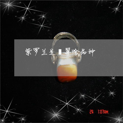 紫罗兰是翡翠啥品种/2023041321694 紫罗兰是翡翠啥品种/2023041321694