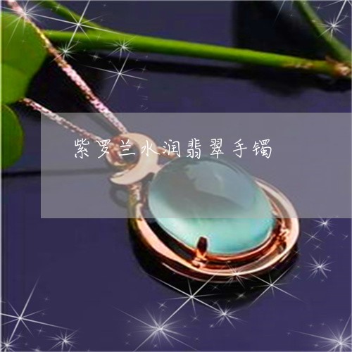 紫罗兰水润翡翠手镯/2023041357050 紫罗兰水润翡翠手镯/2023041357050