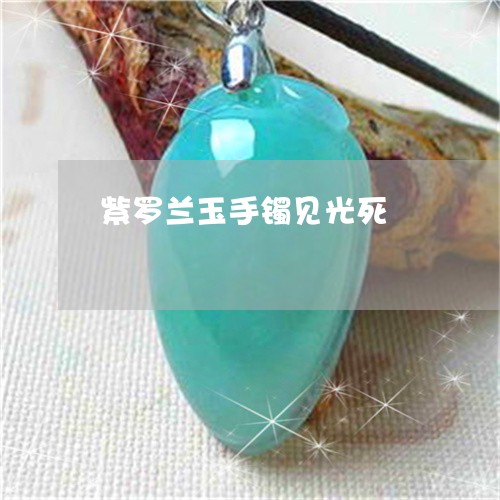 紫罗兰玉手镯见光死/2023041329573 紫罗兰玉手镯见光死/2023041329573