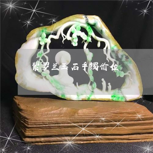 紫罗兰玉石手镯价位/2023041312738 紫罗兰玉石手镯价位/2023041312738