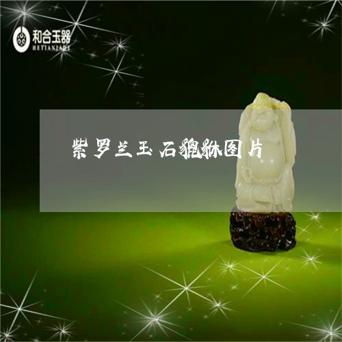 紫罗兰玉石貔貅图片/2023041387982