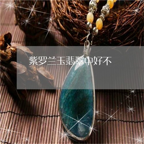 紫罗兰玉翡翠中好不/2023041326261