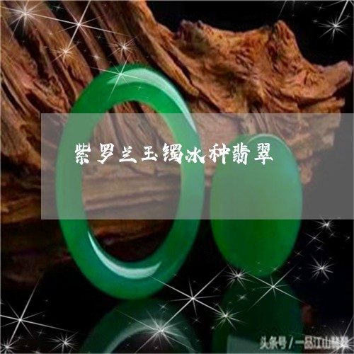 紫罗兰玉镯冰种翡翠/2023041382613
