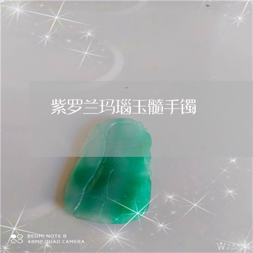 紫罗兰玛瑙玉髓手镯/2023041375147 紫罗兰玛瑙玉髓手镯/2023041375147