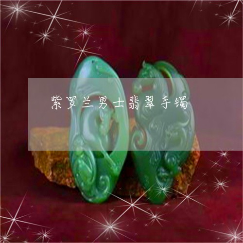 紫罗兰男士翡翠手镯/2023041362925 紫罗兰男士翡翠手镯/2023041362925