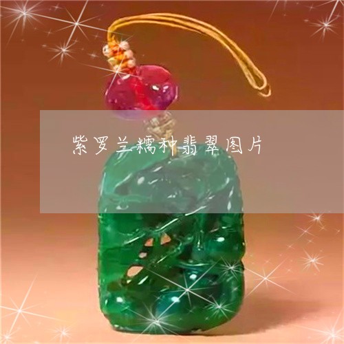 紫罗兰糯种翡翠图片/2023041307150