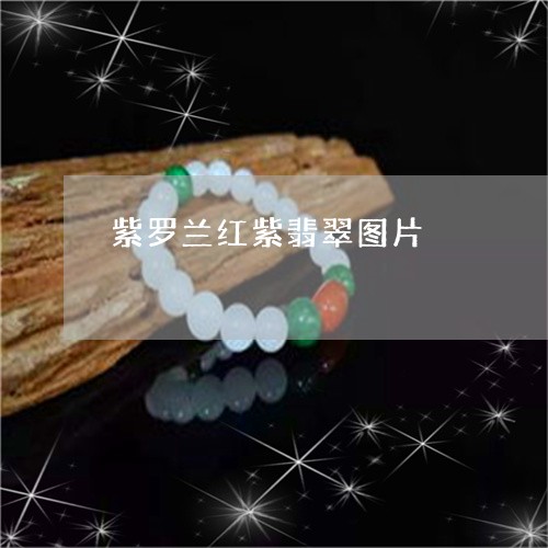 紫罗兰红紫翡翠图片/2023041378272